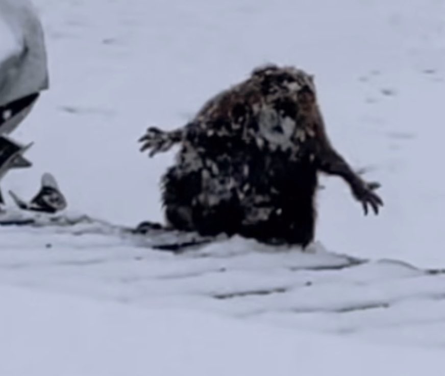 Mixsta's tweet image. My mind in a constant state