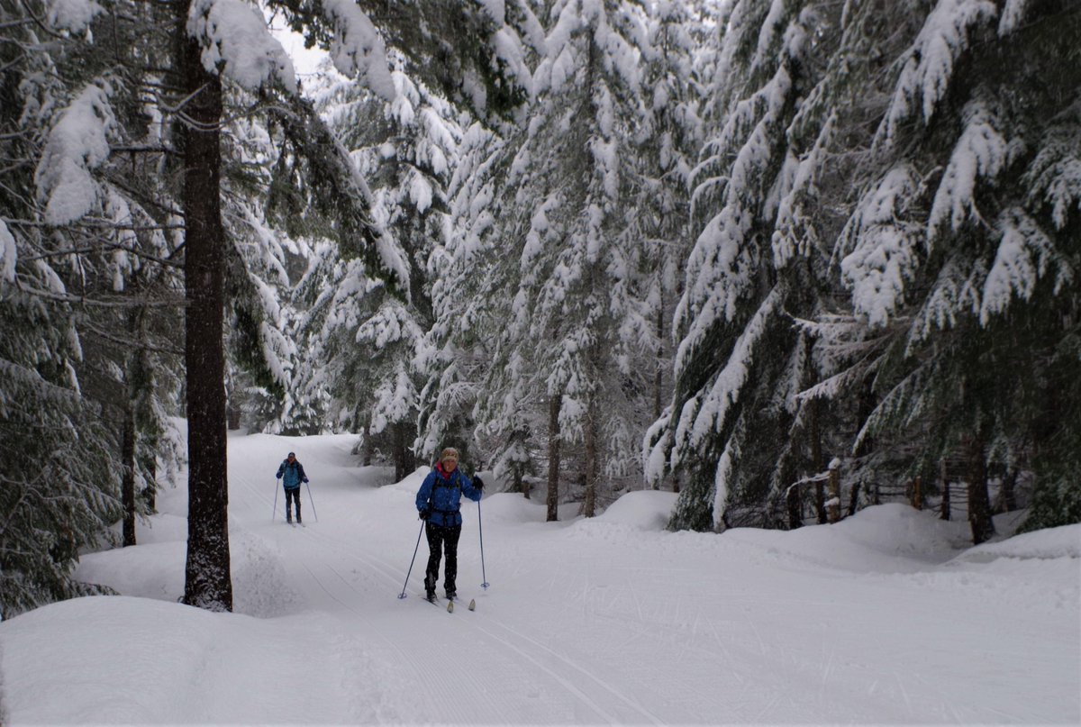 Happy Trails Tuesday! XC skiing day before yesterday east of Snoqualmie Pass at Cabin Creek. #getoutside #PNW #crosscountryskiing