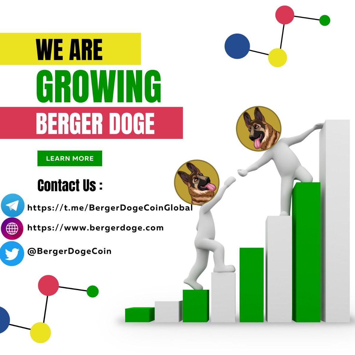 BergerDoge Coin tweet media