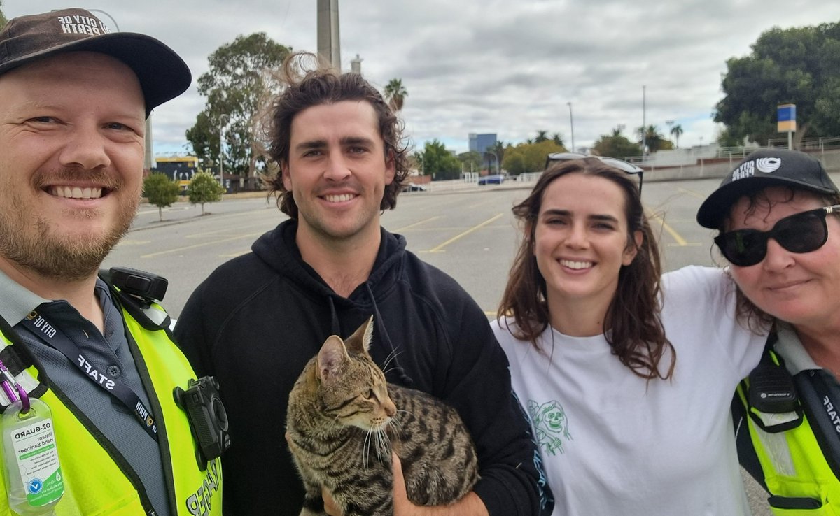 The purrrrrfect rescue! 🐾

Our City of Perth SafeCity Rangers helped retrieve a lost cat who made its way to Stirling Gardens. 😼

After a few days exploring our City, the adventurous feline was happily reunited with its family, who were visiting Perth from regional WA.