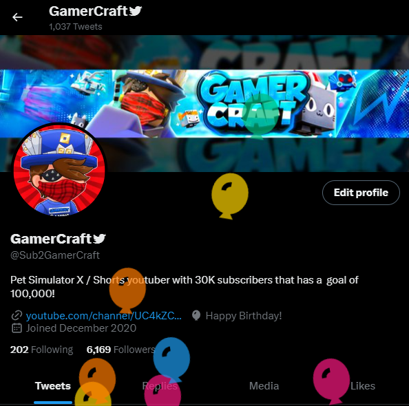 GamerCraft tweet media