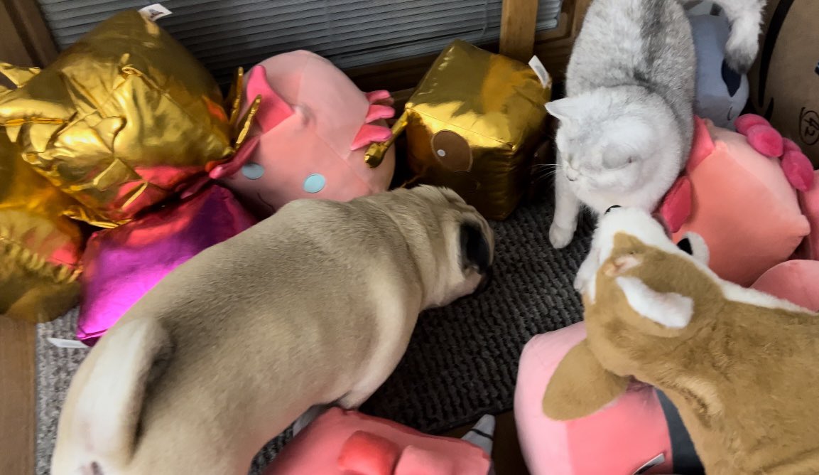 mayrushart tweet media