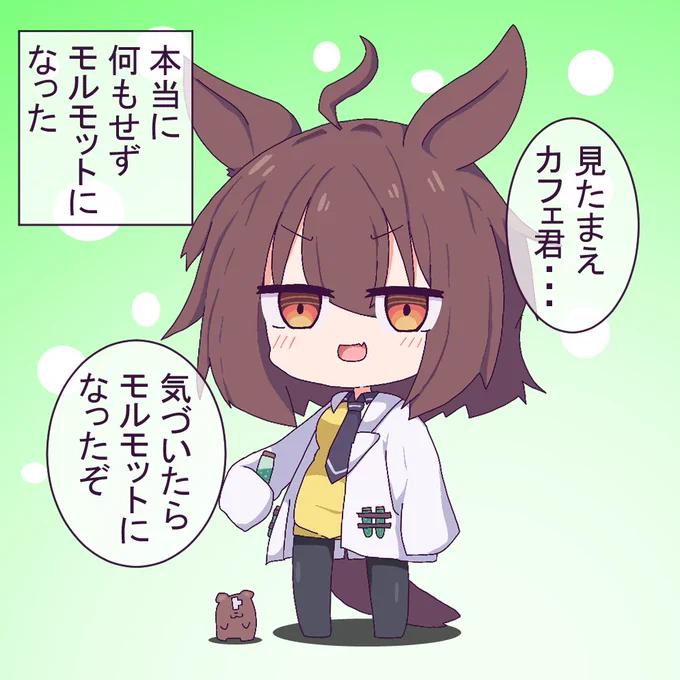 #これでフォロワーさん増えました 