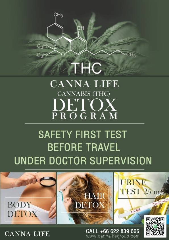 #cbd #thc #detoxthc #cannabisthailand #weedthailand 
#cannabis