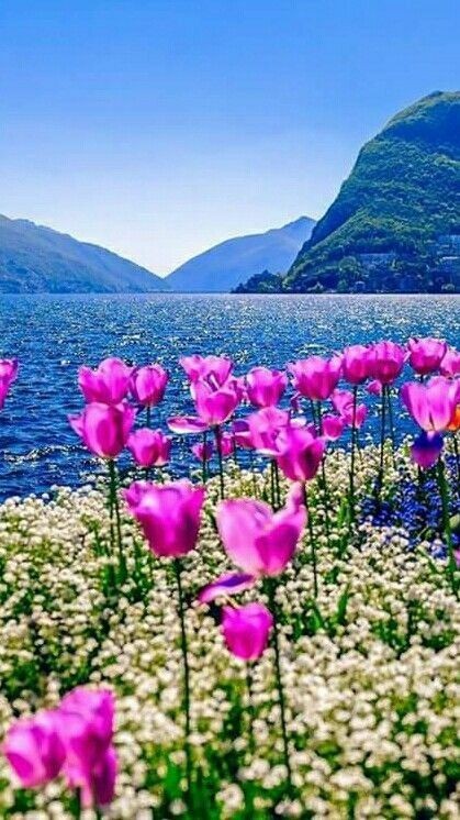 TLeoni311's tweet photo. Good morning 💙 https://t.co/ia1e1FTjUP