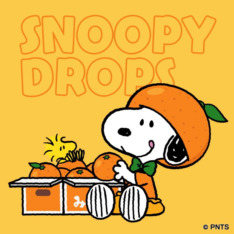 今日は #オレンジデー 🍊✨ オレンジ色のものを贈りあう日🎁 という