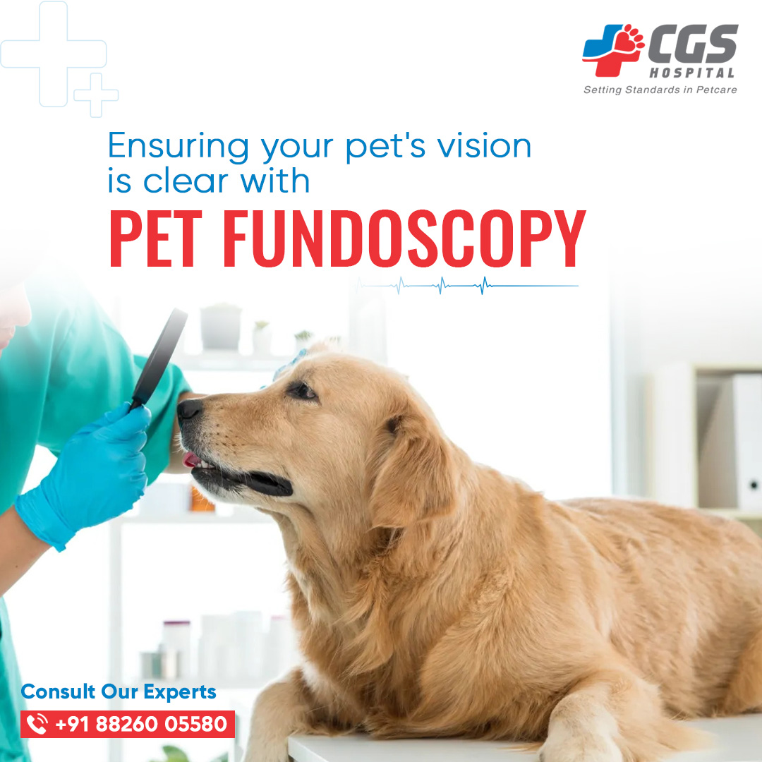 CgsHospital's tweet image. #Fundoscopy, also known as ophthalmoscopy, is an eye examination that allows an ophthalmologist to view the inside of the eye. This #diagnostic examination can help detect a variety of #eye conditions and diseases, such as retinal degeneration, diabetic retinopathy and glaucoma.