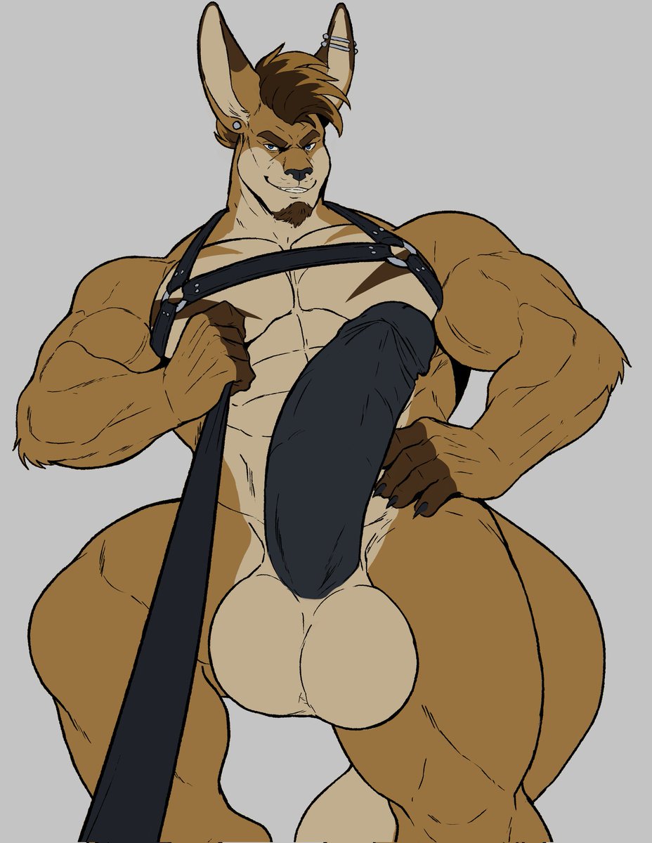 Dart 🦘 🔜 FWA tweet media