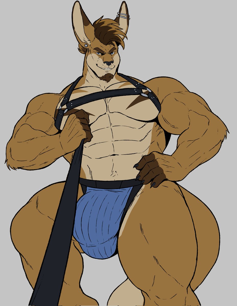 Dart 🦘 🔜 FWA tweet media