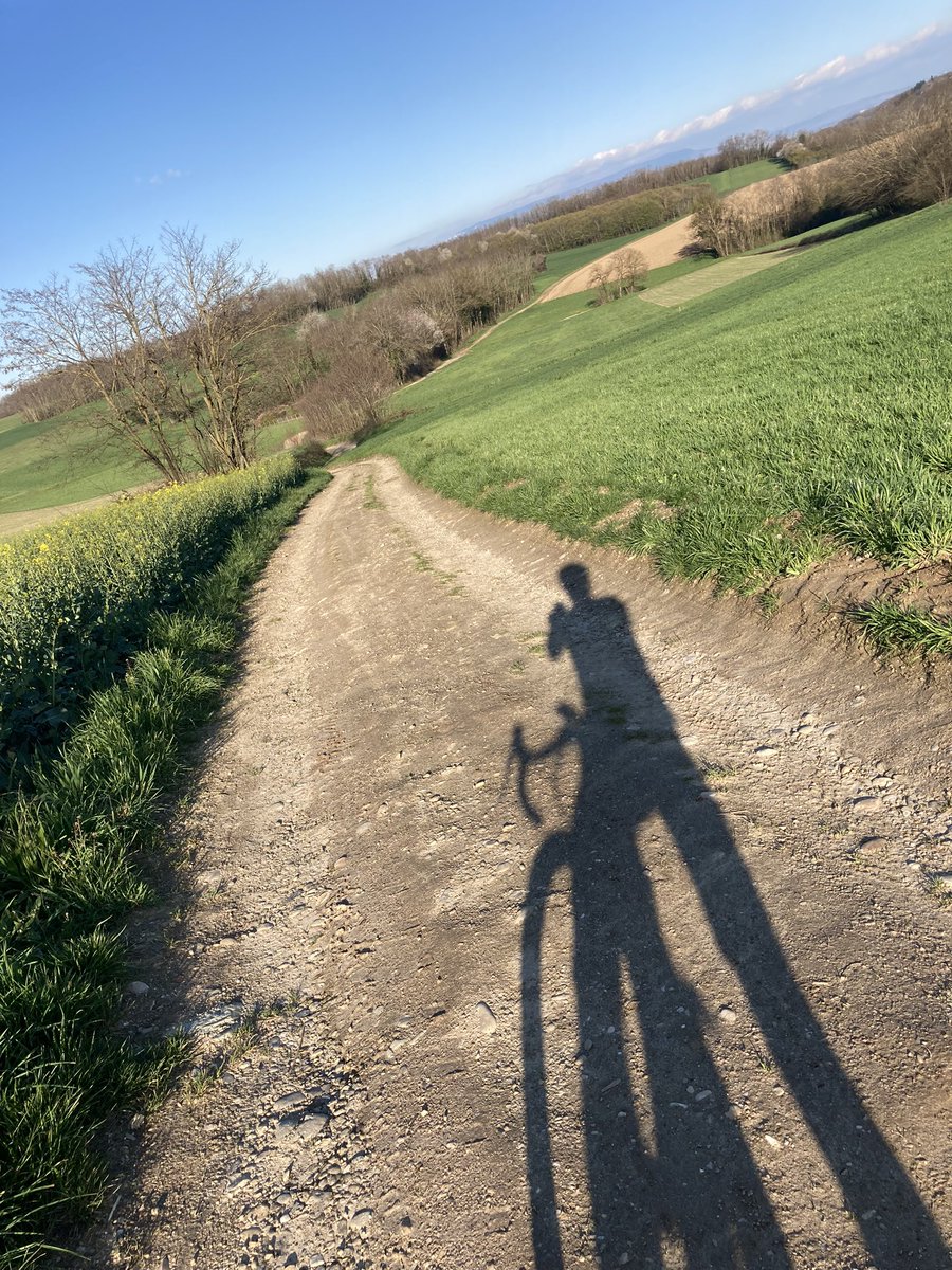 pliantissime's tweet photo. Le Gravel du Mardi…
Nouveau plateau de 38 pour la GTB (11/42 derrière), bon la marche c’est bon pour la santé aussi…. https://t.co/a8uN28TVfz