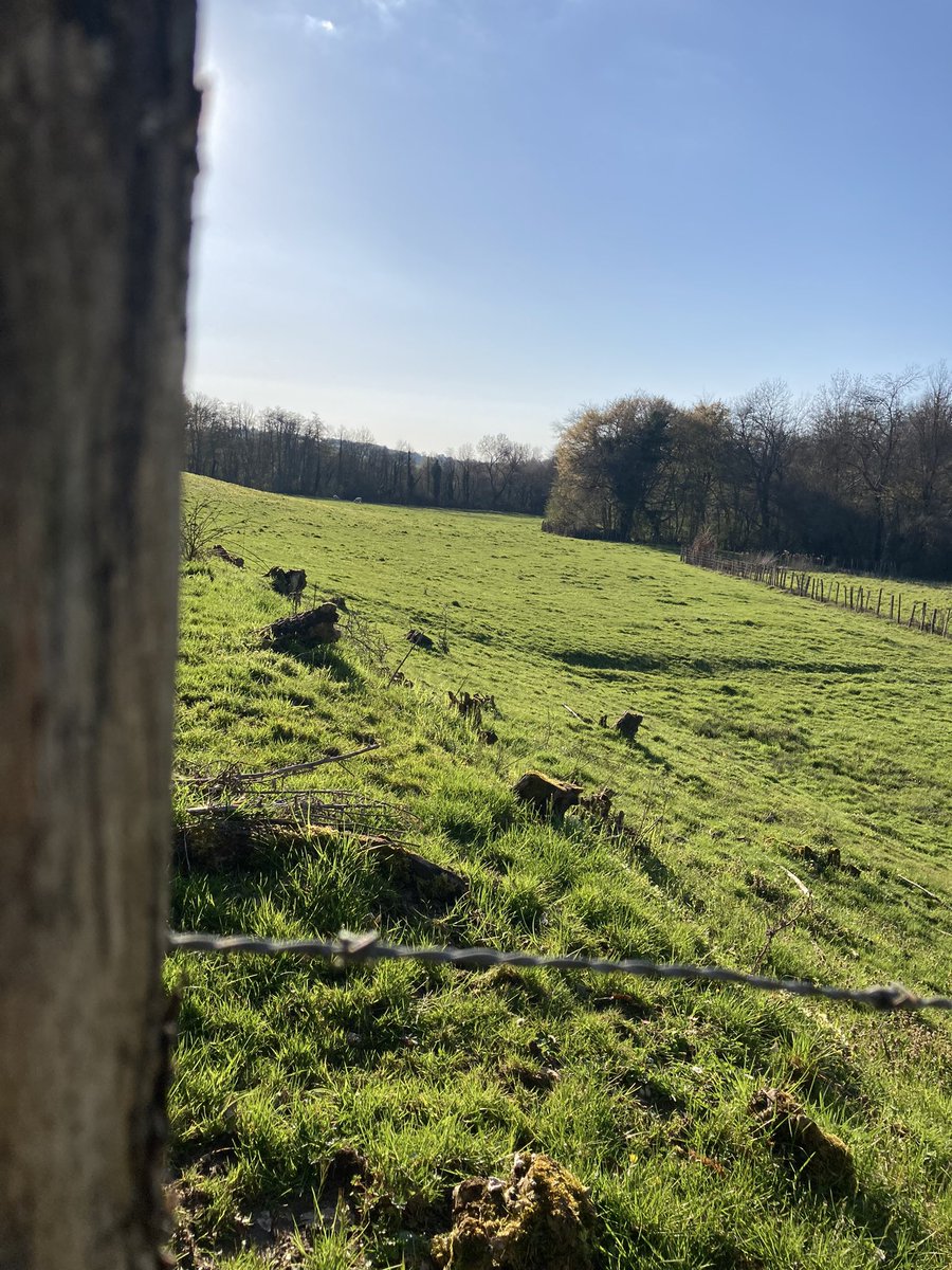 pliantissime's tweet photo. Le Gravel du Mardi…
Nouveau plateau de 38 pour la GTB (11/42 derrière), bon la marche c’est bon pour la santé aussi…. https://t.co/a8uN28TVfz