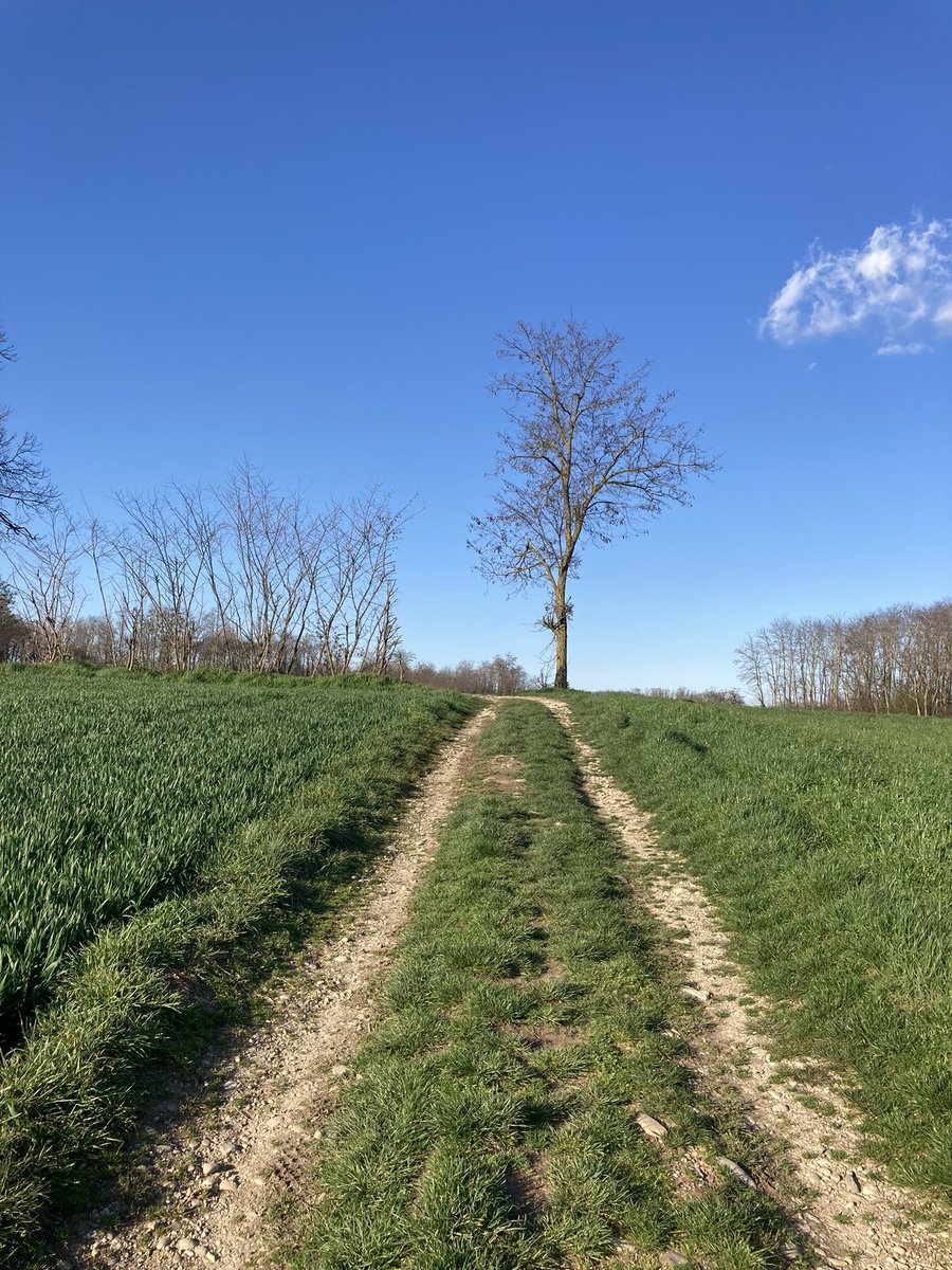pliantissime's tweet photo. Le Gravel du Mardi…
Nouveau plateau de 38 pour la GTB (11/42 derrière), bon la marche c’est bon pour la santé aussi…. https://t.co/a8uN28TVfz