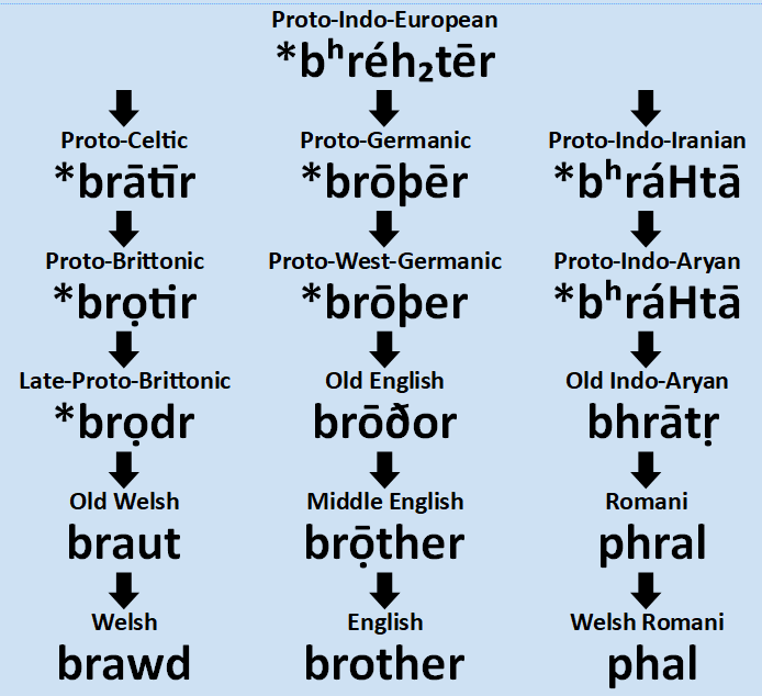 Dimitar Bechev on Twitter "RT TheHungarianFor Hence the English word