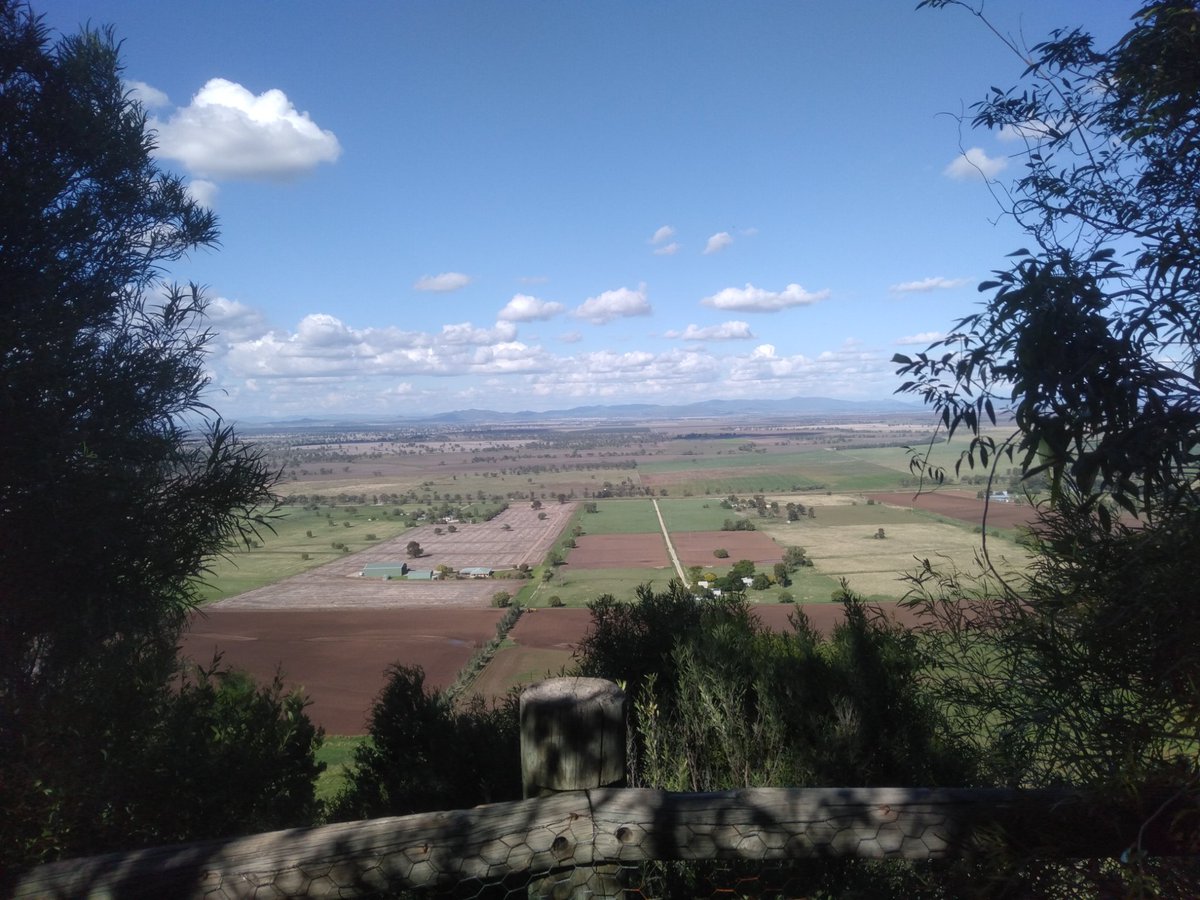 TimCurran8's tweet image. Late lunch on Avard's Lookout, #Bindea, Gunnedah.

Looking out onto the Mooki floodplain, #LiverpoolPlains 

#vegsurvey #fireplan