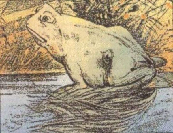 TheMindsJournal's tweet photo. Can You Spot The Hidden Horse? Frog Or Horse.
#OpticalIllusionTest #quiz #mindsjournal #themindsjournal https://t.co/tSbBz6RXS0