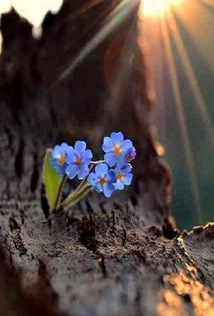 कहावतो से जिंदगी नहीं चलती 
वो निरंतर चलती है
जहाँ मुनकिन ना हो जीवन
वो वहाँ भी चलती है 
#experience