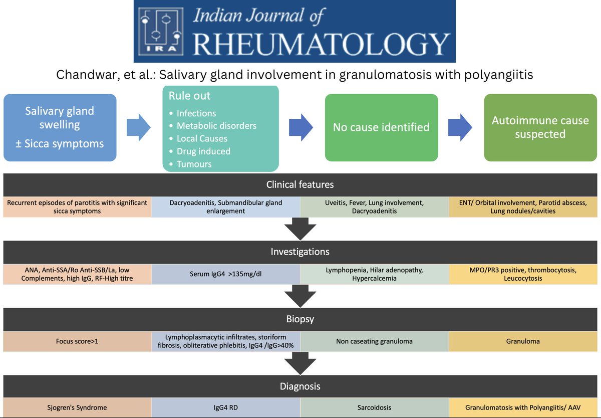 IJRheum's tweet photo. 👌Did you know Salivary Glands can be involved in vasculitis also?🤔
Read this case-based review on Salivary Gland involvement in GPA 
Salivary Gland Involvement in Granulomatosis with Polyangiitis: Case Report and Review of Literature
https://t.co/44b92Ws3Z5 https://t.co/XlkO1Q2UbP