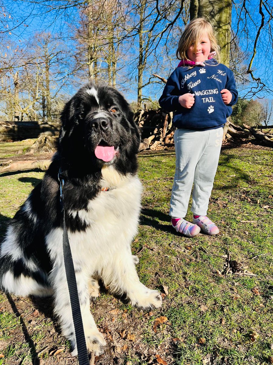 This is my mini hooman pipsqueak. I usually jump on her so that's why there's a nervous face and escape gap between us. Bad boy Bandito...
#DogsBehavingVeryBadly #DogsofTwittter #DogsOnTwitter #Bandito #Dogsarefamily