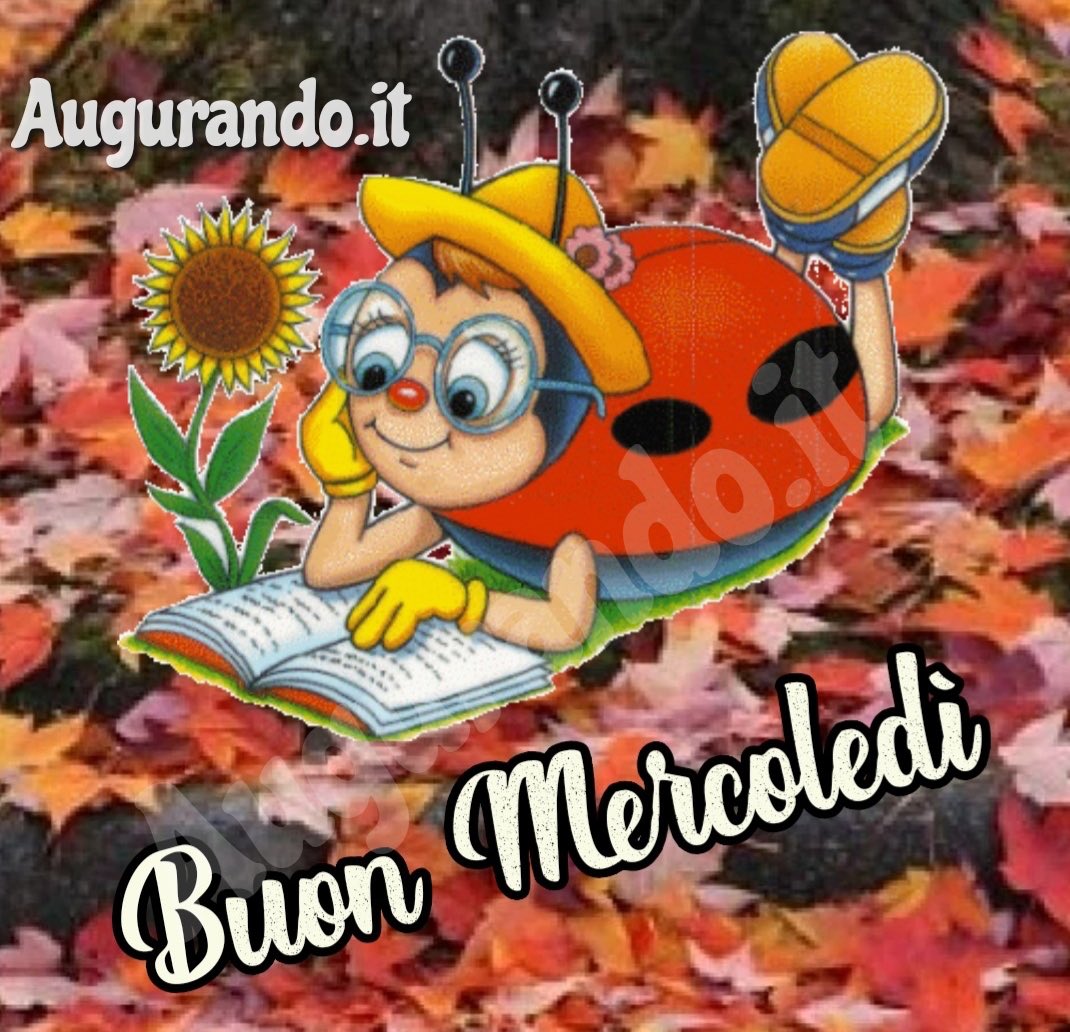 KatyaTalon's tweet photo. Buongiorno 🌞 Buenos Dias🌞Günaydin🌞Bom Dia🌞Bonjour 🌞Morgen 🌞Morning 🌞 https://t.co/W17uuyBfs7