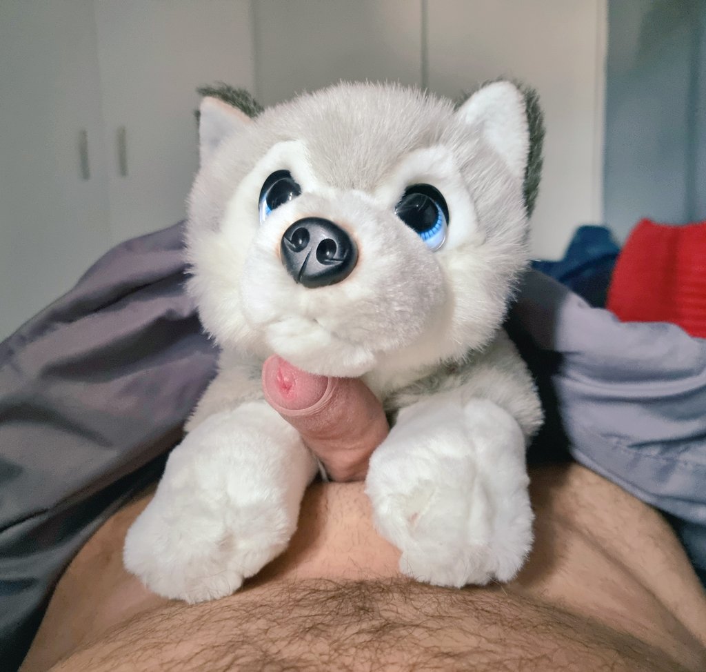 FurryCris's tweet photo. My daddy got me a husky for my birthday so I'm not alone when he's away ^^

#plushlover https://t.co/KVVRAo0564