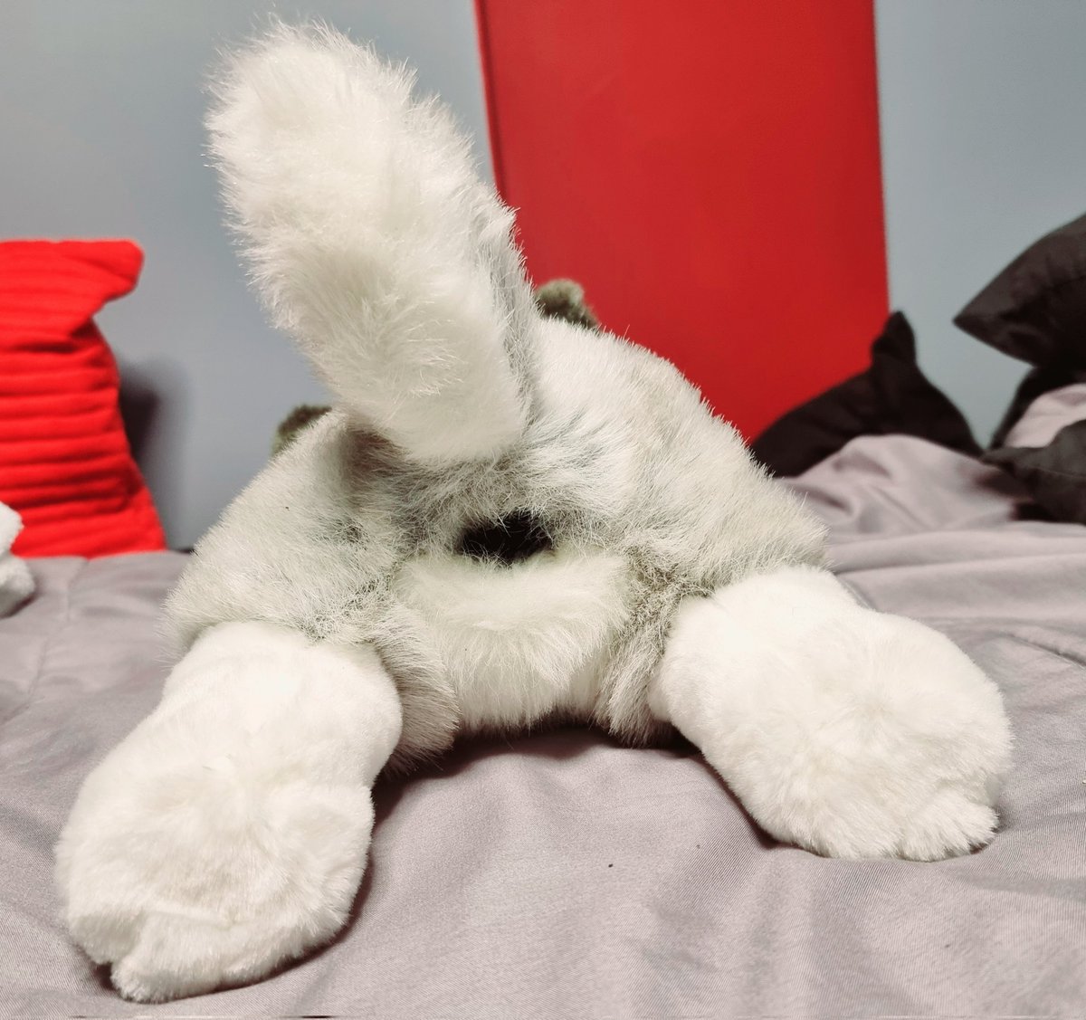 FurryCris's tweet photo. My daddy got me a husky for my birthday so I'm not alone when he's away ^^

#plushlover https://t.co/KVVRAo0564