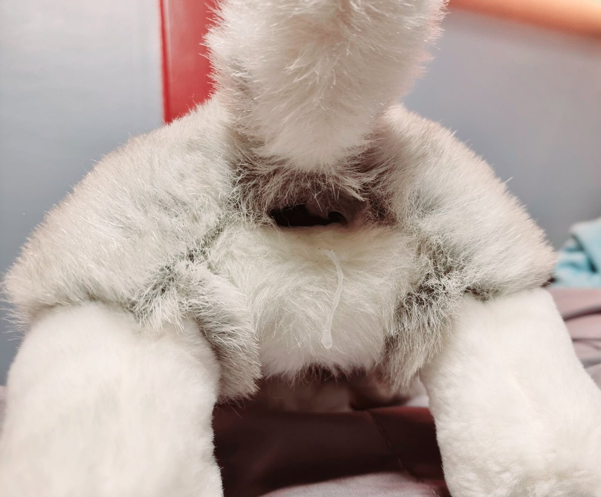 FurryCris's tweet photo. The condom broke 👉👈

#Plushophile https://t.co/O5l5PXXtHG