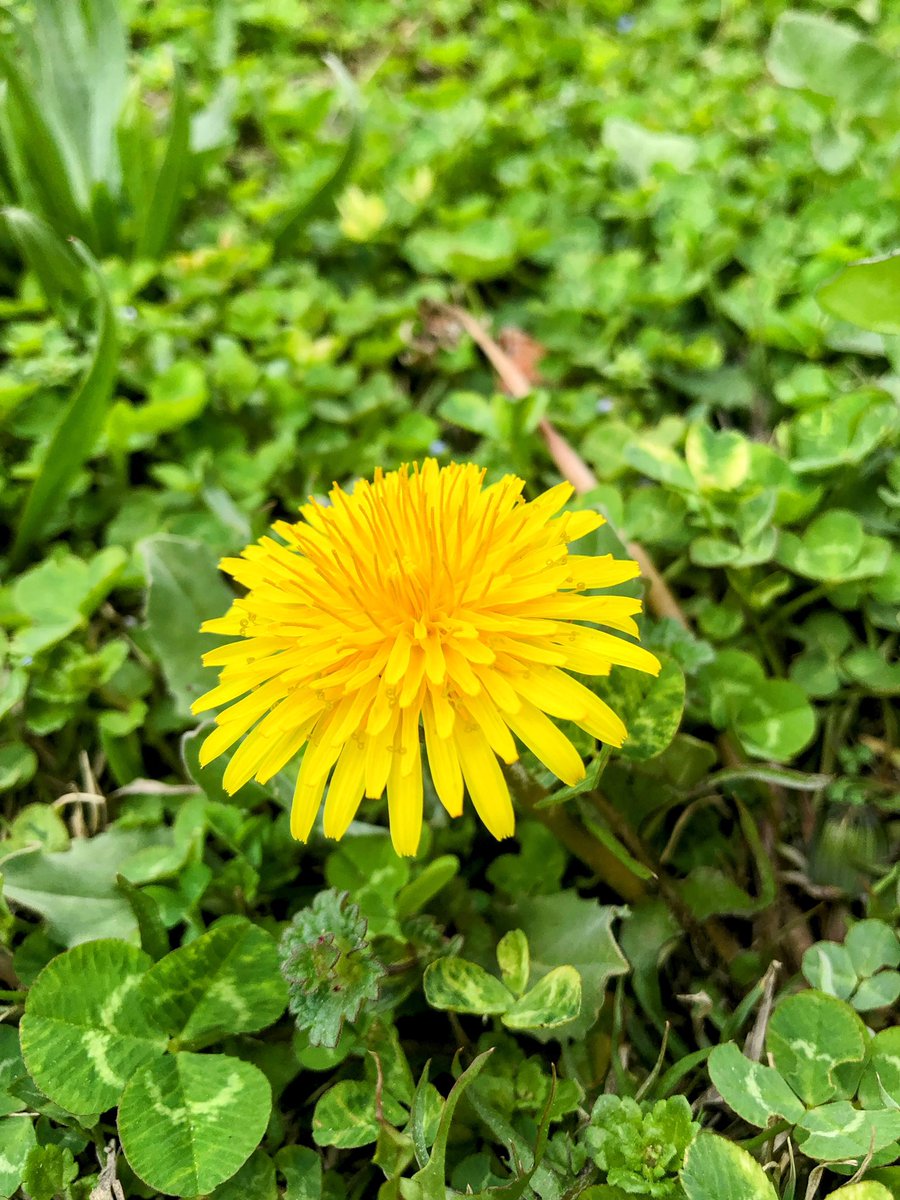 "İnsan; kavuşmak denen rüzgar esecek diye, bir pencerenin önünde kırk yıl beklermiş."💔🥀

Günaydınn.😇

#günaydın #çarşamba #kitapseverlertakiplesiyor