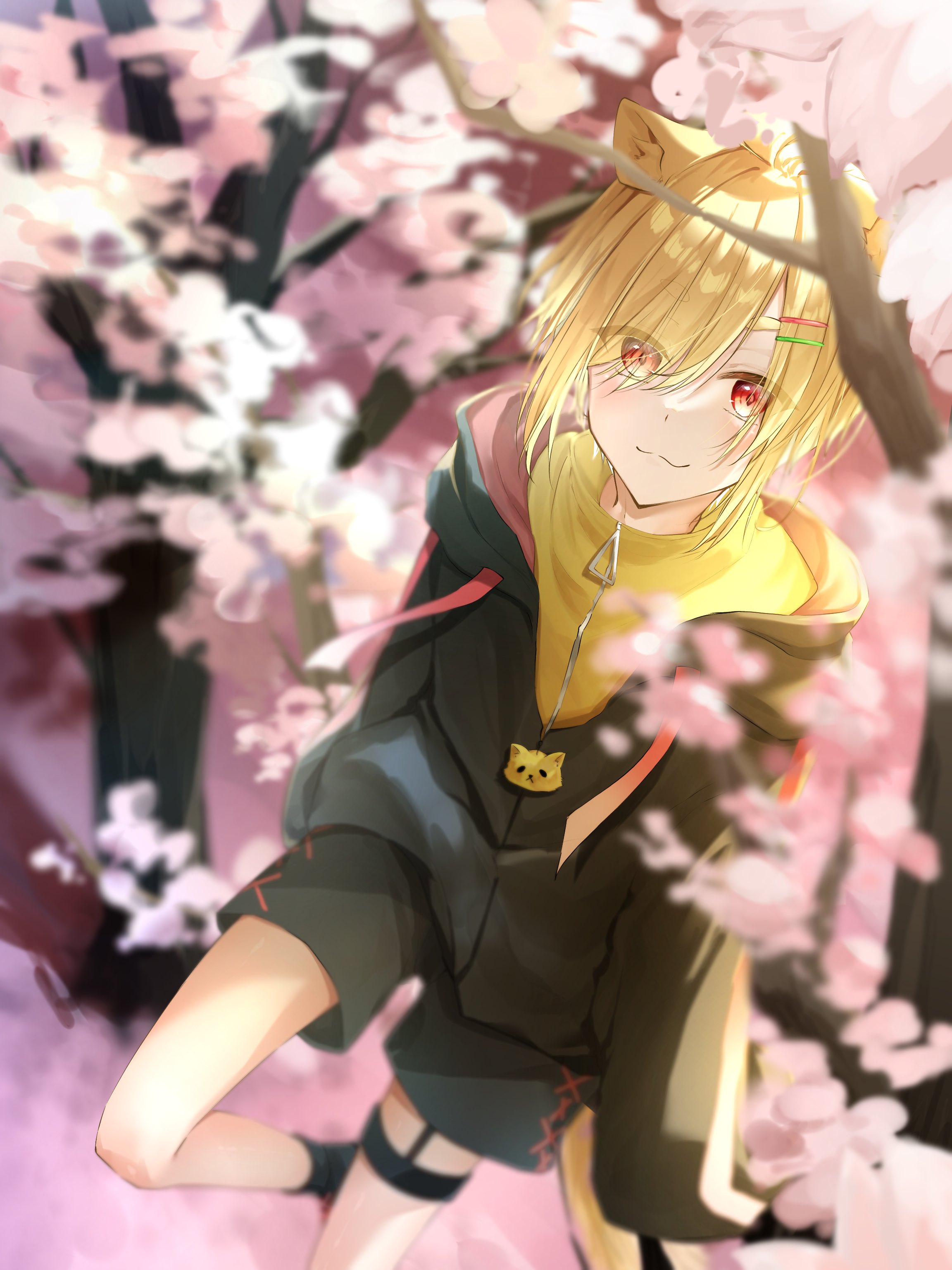 チーズケーキ على X: 