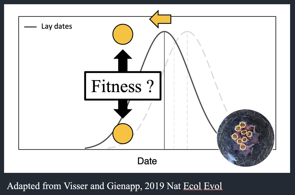 Melanie Lindner tweet media