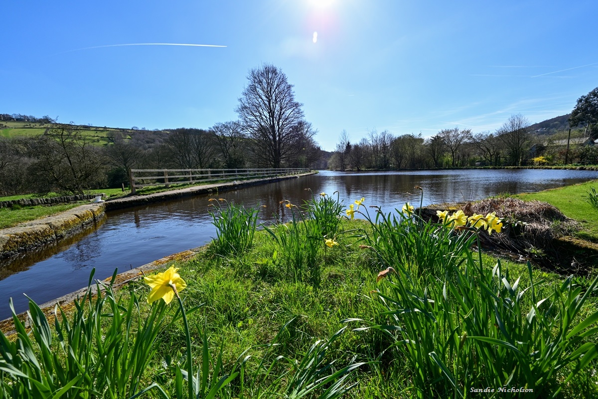 holmfirthphotos's tweet image. Who needs Venice when the Huddersfield Narrow Canal can look as glorious as this?! @CanalRiverTrust @South_Pennines @ThePhotoHour @StormHour #Huddersfield #Slaithwaite #Marsden #ColneValley #Yorkshire #loveukweather