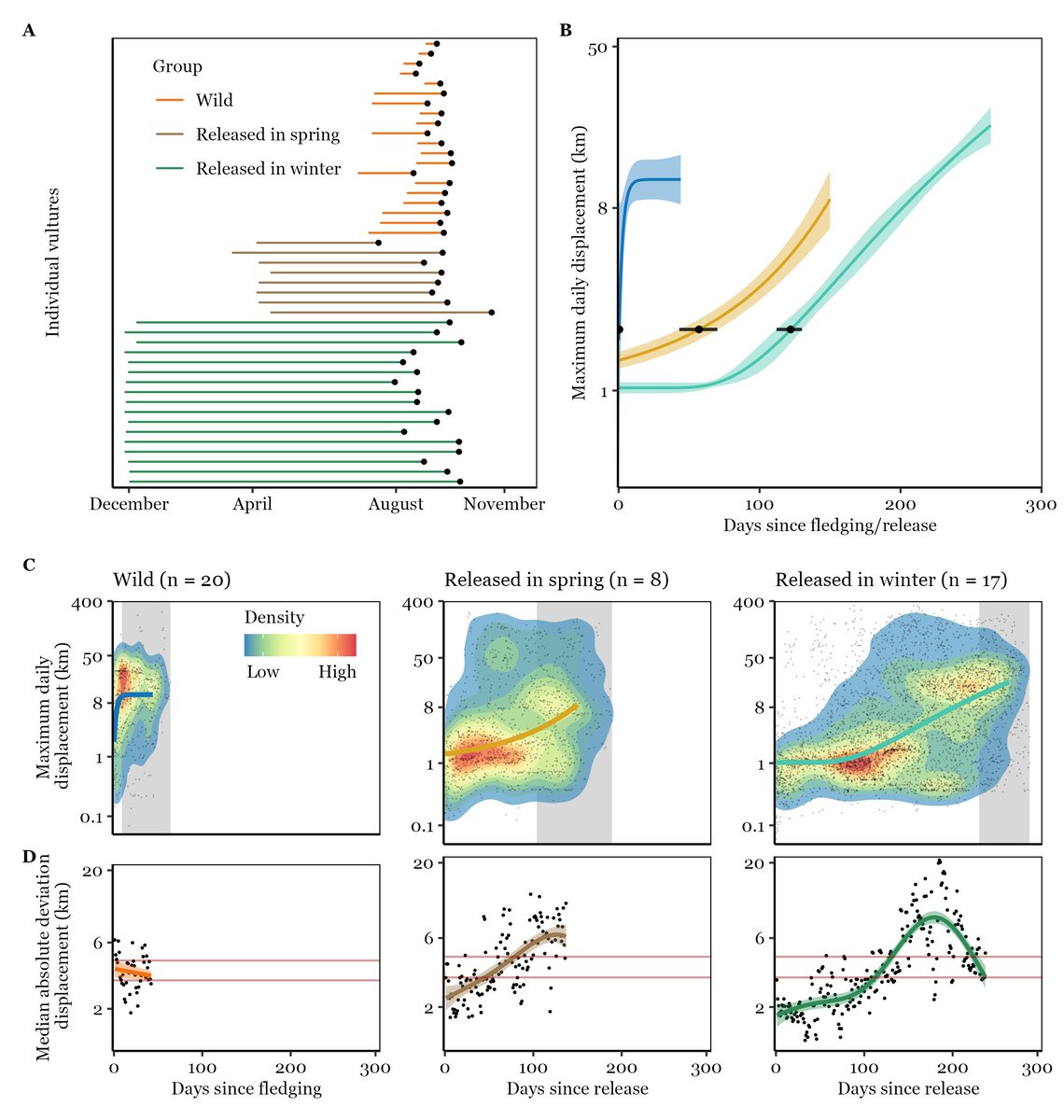 AnneGHertel's tweet photo. @ron_efrat @oded_tal @RSocPublishing We compared wild vultures, migrating one month after fledging, with captive-hatched vultures, released four or nine months before migration. Time until migration paced the development of movement behaviour: producing asymptotic,exponential or sigmoidal performance increases, resp https://t.co/o6zHES7Lbo