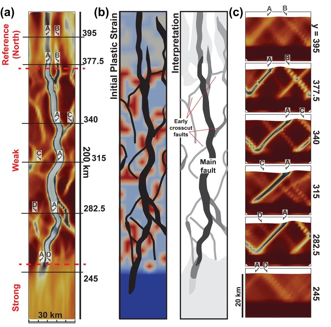 tomphillips14's tweet photo. Faults initially follow heterogeneities in the weak domain, before reorganising into an established network by 100kyr https://t.co/nnzvxtIXcI