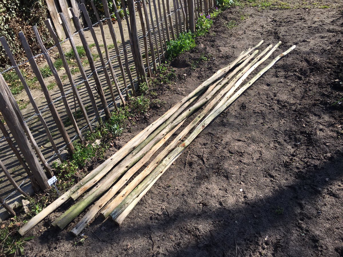 Groeneschoenen's tweet photo. It giet oan … #buurtmoestuin https://t.co/5qXtnZhWVK