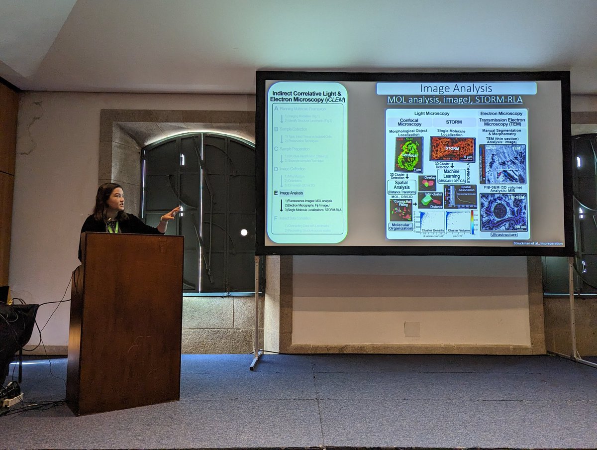 nanocardiology's tweet photo. Great job by @HeatherStruck43 presenting our work on indirect CLEM (iCLEM) at #FOM2023. To see how we use it to study the #heart, check out our #preprint: https://t.co/aSitRdvRnQ
And keep an eye out for our upcoming preprint describing the method. https://t.co/zp25t5GNnj