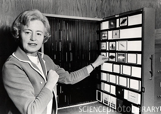 loretahur's tweet photo. #TalDíaComoHoy en 2020, nos dejaba Margaret Burbidge. Astrónoma, astrofísica, ganadora del Premio Mundial de Ciencias Albert Einstein​ y una de las pioneras de la astronomía moderna. Demostró que somos polvo de estrellas. Cuando se doctoró no tenía permitido usar un observatorio. https://t.co/R3c5Af4vra