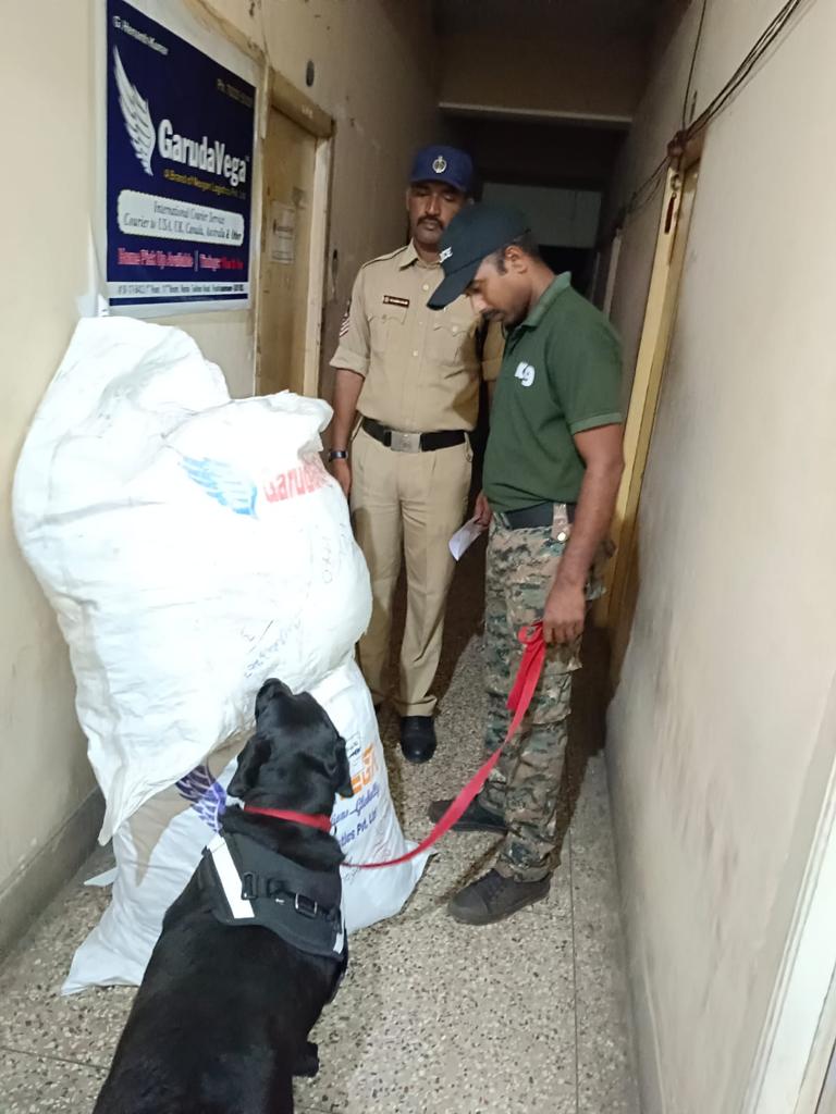 vizagcitypolice's tweet photo. విశాఖ నగరంలో కొరియర్ సర్వీస్ సంస్థలు ద్వారా జరుగుతున్న గంజాయి రవాణా నిర్మూలించడానికి నగర పోలీసు కమిషనర్ శ్రీ సిహెచ్. శ్రీకాంత్ ఐపీఎస్ గారి ఆదేశాల మేరకు నగరంలో ఉన్న కొరియర్ ఆఫీసులు అన్నింటినీ నార్కోటిక్ డిటెక్షన్ K9 స్నిపర్ డాగ్స్ టీముతో తరచూ తనిఖీలు నిర్వహిస్తున్నారు.@APPOLICE100 https://t.co/Dgr89Uzv9R