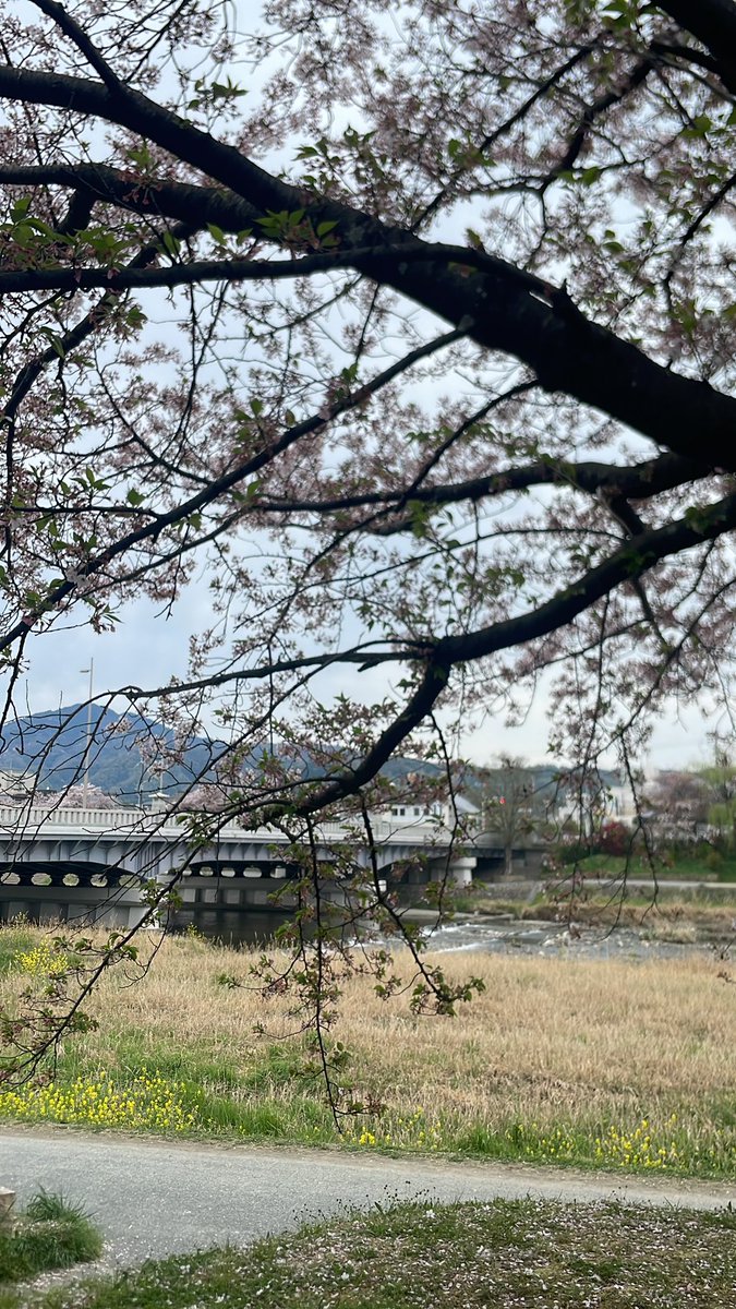 インドカレーサークル
鴨川デルタの橋の南側でお花見してます🌸🇮🇳

新入どんと来い‼️

場所わからない人はDMまで➡️