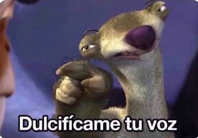 𝙇𝙑𝙄𝙎𝙄𝙏𝙊 🐈⬛ tweet media