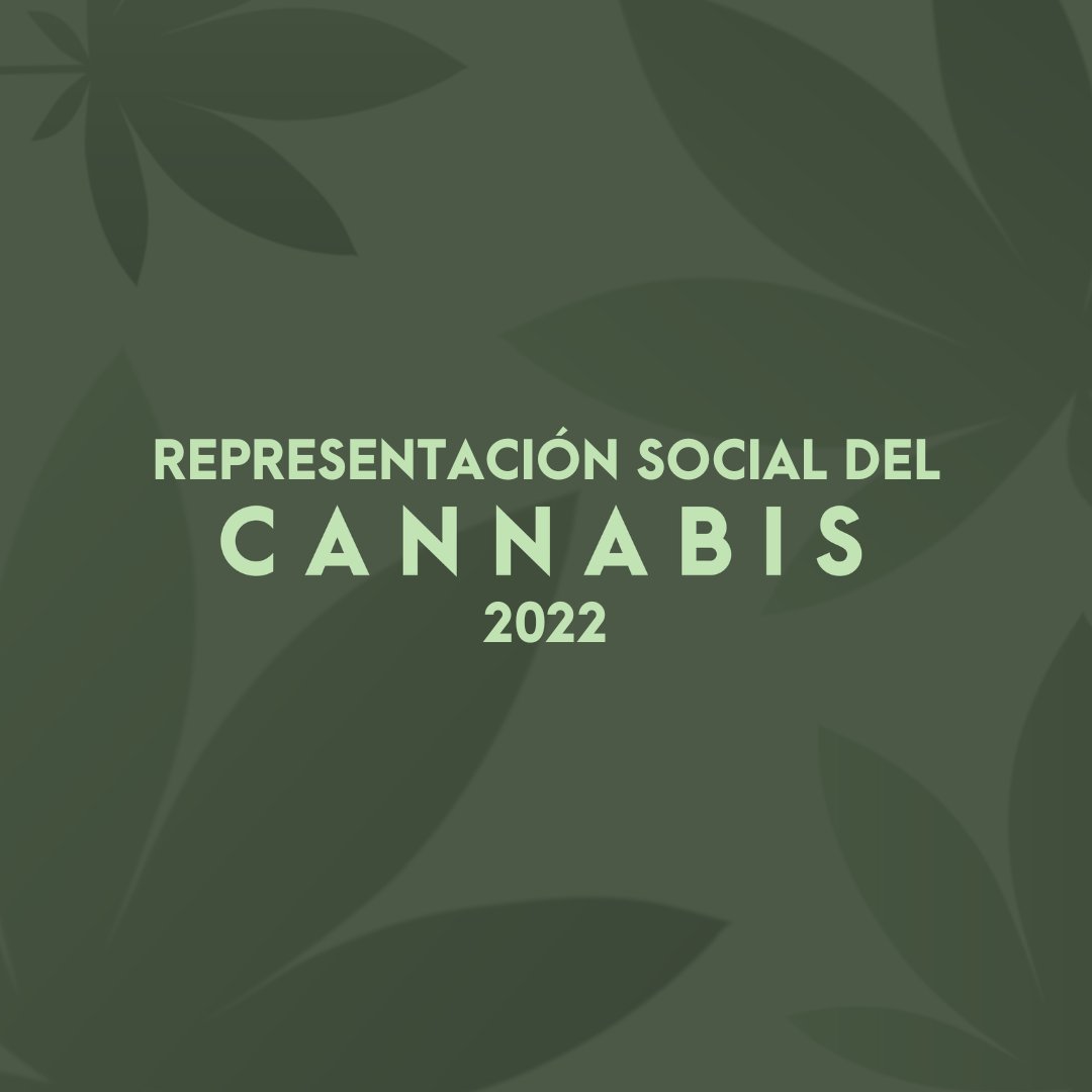 📗 Representación social del cannabis 2022 | Evolución desde la mirada diferencial de la población joven

Percepción, consumo, problemas, riesgos, valoración, motivaciones, fuentes de información, evoluciones, opiniones...

🔗 bit.ly/3Z82duU | <a href="/CRSJuventud/">Centro Reina Sofía de Fad Juventud</a> <a href="/FadJuventud/">Fad Juventud</a>