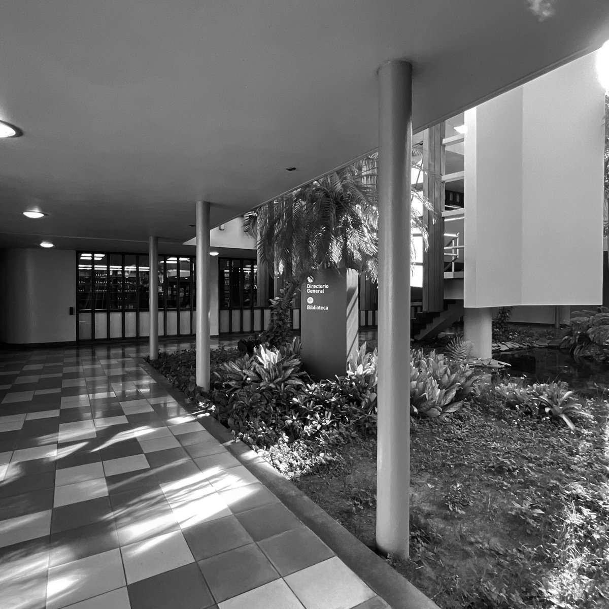Law School. University of Puerto Rico. Architect Henry Klumb. Photo Andrea Parga, 2022. Source Research and dissemination project FotoExploratorio #klumb #lawschool #university #view #visualclues #foto #photo #modernarchitecture #fotoexploratorio