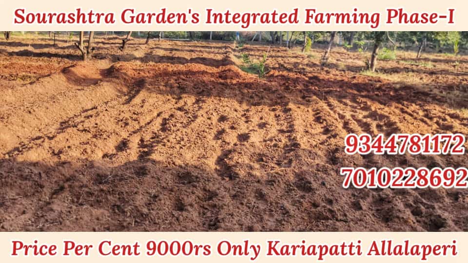 anvitvickky's tweet photo. FarmLand For Sale In Madurai #Farmland #landforsale #NTR30 #AK62 #fertileland #organicfarming #farming #agriculture #nationalcrush #TwitterLogo #KicchaSudeep #Intergratedfarming https://t.co/VBX84bHclI