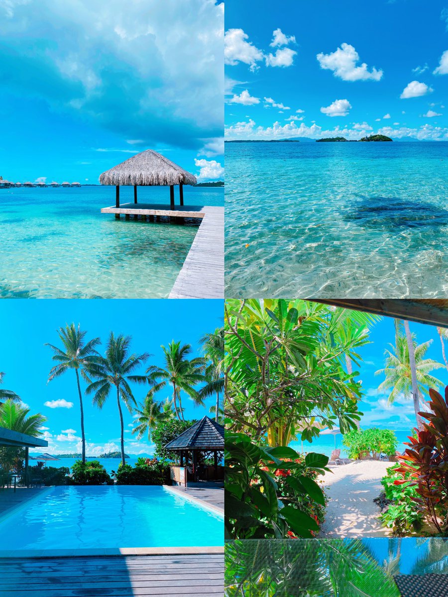 ykdojo's tweet image. This week, I’m saying goodbye to VS Code and

hello to this: