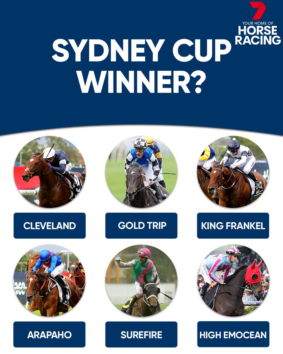 7HorseRacing 🐎 tweet media