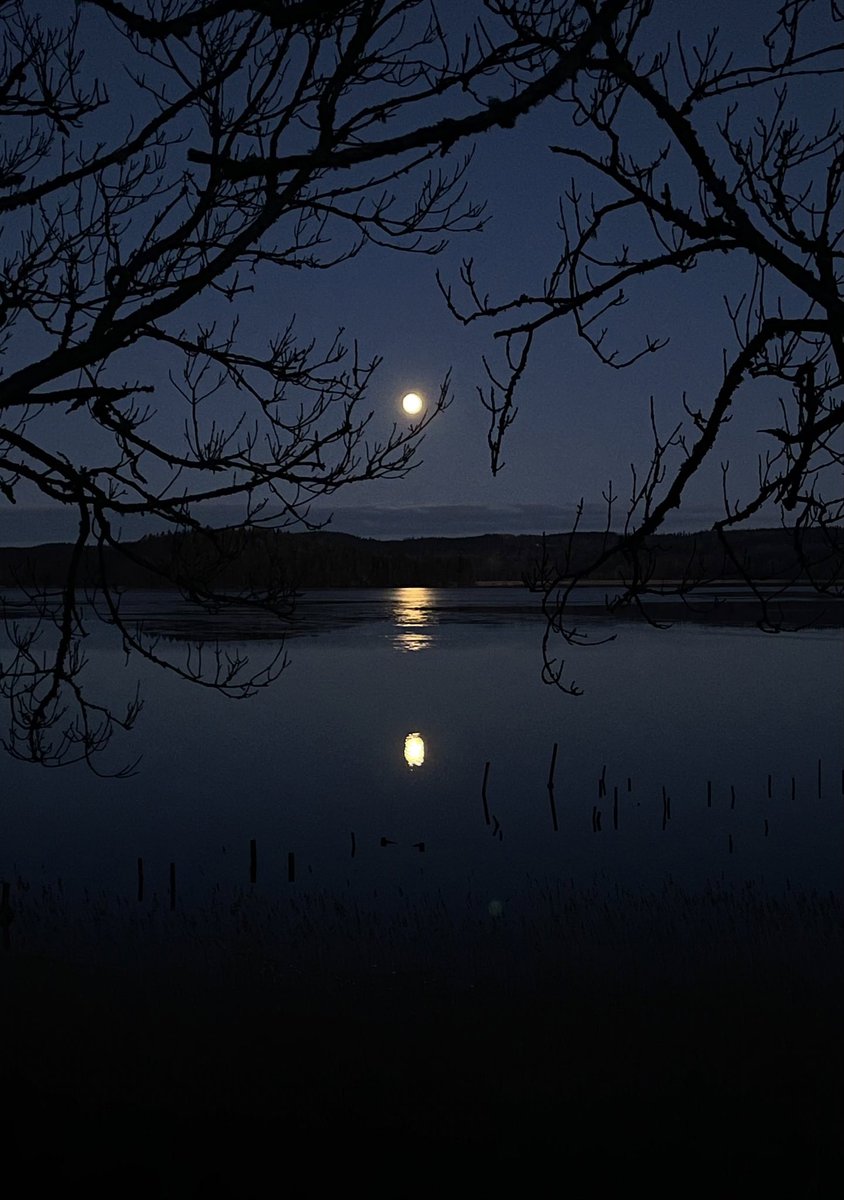 tonyrjonsson's tweet photo. Buongiorno amici 🌙🌙🌙
Alba presto, con la luna 💕
Felice mercoledì tutti 🤗💫
#apr4 🇺🇦🇺🇦🇺🇦 https://t.co/2Jg1TMuC4z