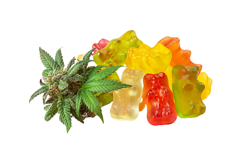 Avanacbd23's tweet image. #Avana CBD Gummies are an #extraordinary enhancement that can be #utilized in various ways.

Read More Info: tribuneindia.com/news/brand-con…
Pinterest: pinterest.com/Avanacbdgummie…
Tumblr: tumblr.com/avanacbdgummie…