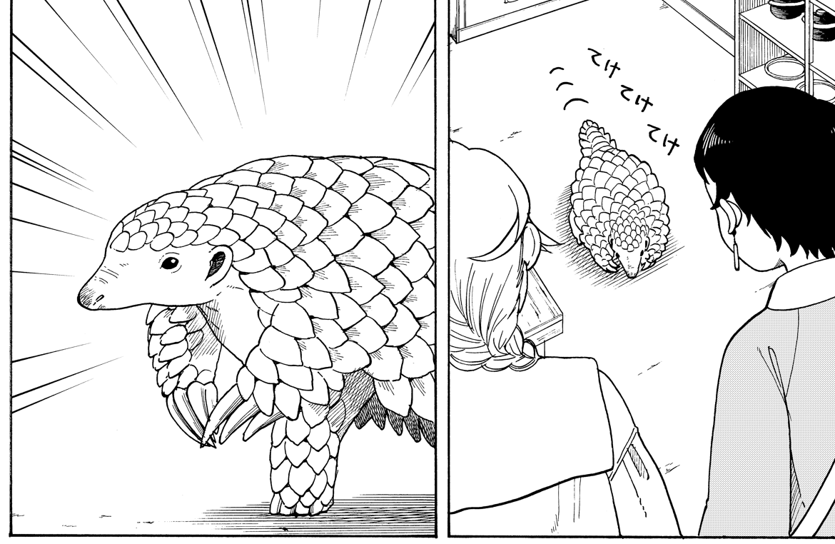 本日発売の月マガに夜子とおつとめどうぶつ載ってます。今回は千草ちゃん、夕くんと古道具屋さんで働くレア動物に会いに行く話です。
よろしくお願いします! 