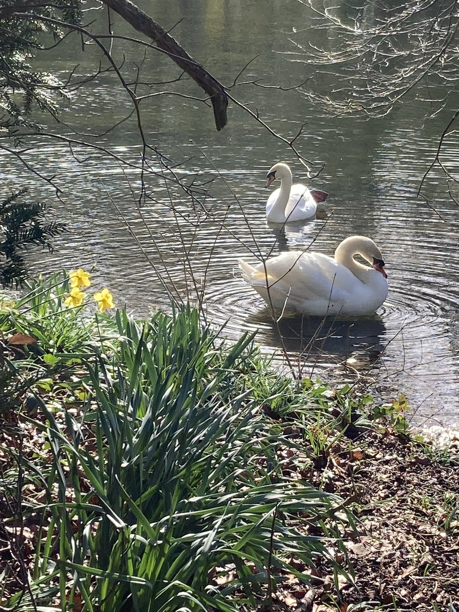 The Stables Tearoom is open from 11.30 today. 
Tickets for tours of the house from 2pm available to book online. 
broughtoncastle.com