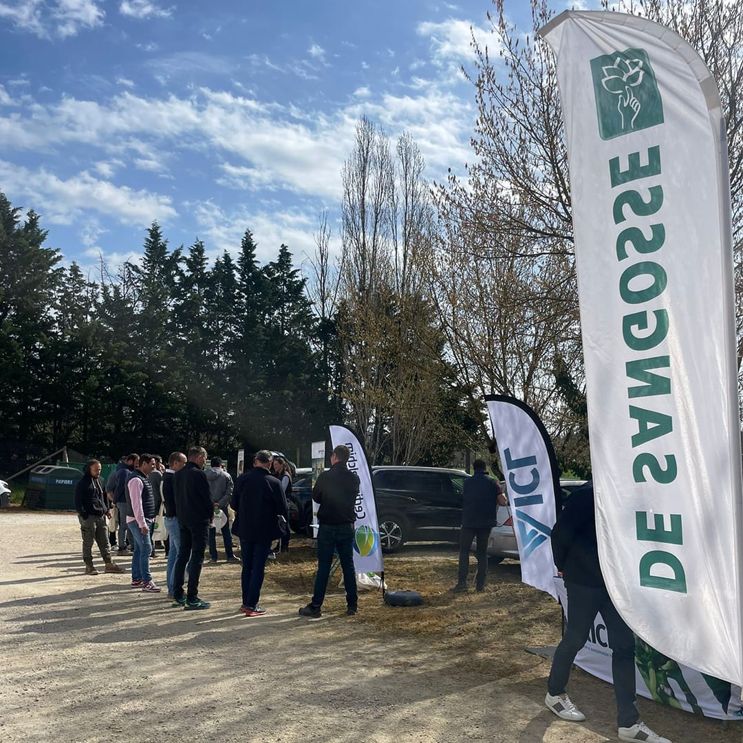 QUALISOL tweet media