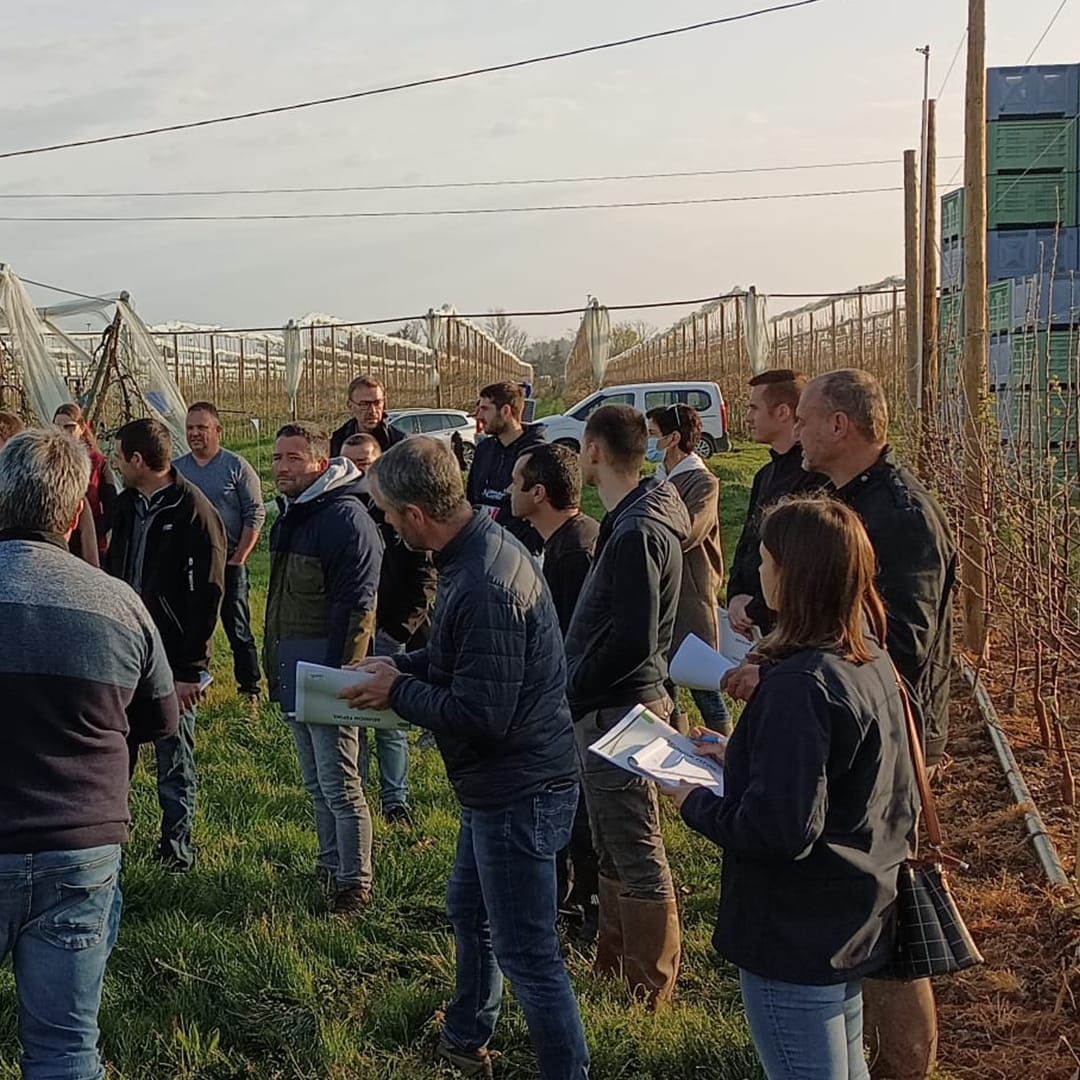 QUALISOL tweet media