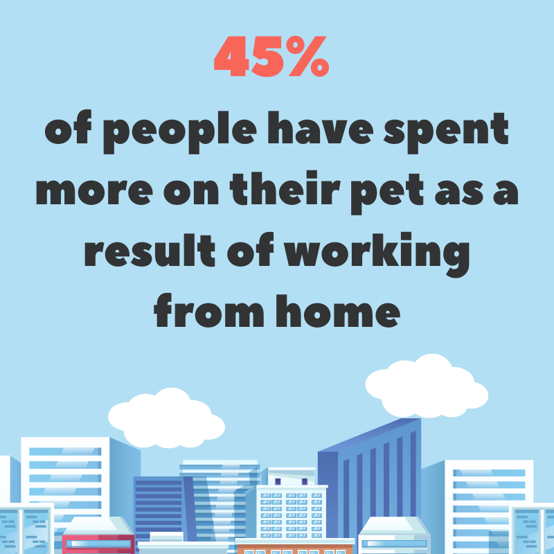 SpringPetsUK's tweet image. This is me 👇🏼  

Like ❤️ if WFH has caused you to spend more on your pet